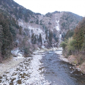 DSCN7402.JPG