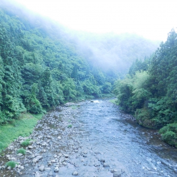 DSCN7402.JPG