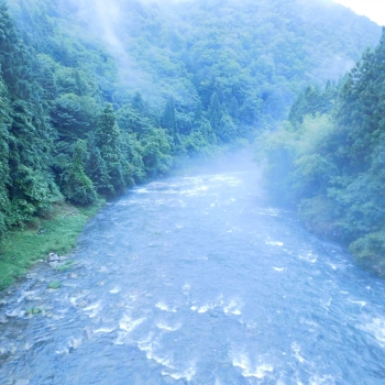 DSCN7410.JPG