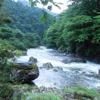 DSCN7421.JPG