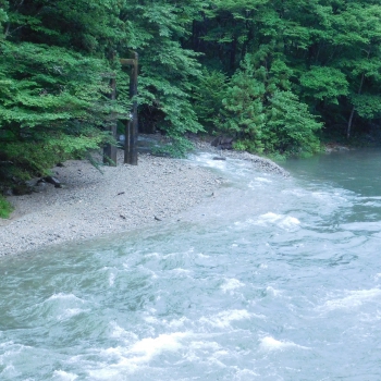 DSCN7430.JPG