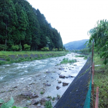 DSCN7439.JPG