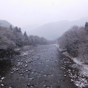 DSCN7443.JPG