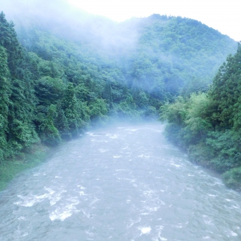 DSCN7455.JPG