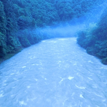 DSCN7460.JPG