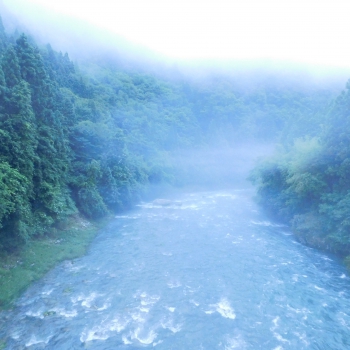 DSCN7464.JPG