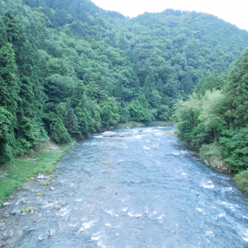DSCN7468.JPG