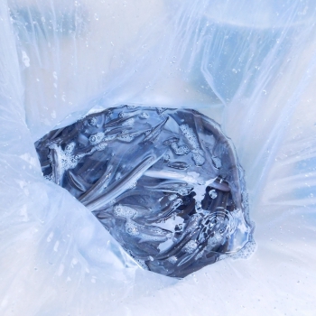 DSCN7474.JPG
