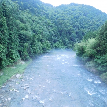 DSCN7519.JPG