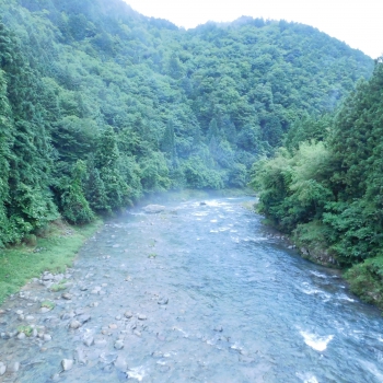 DSCN7523.JPG