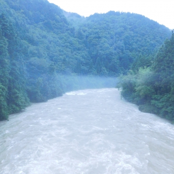 DSCN7531.JPG