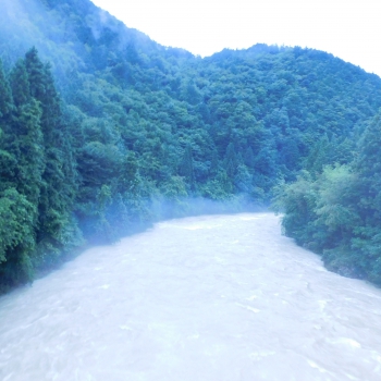 DSCN7535.JPG