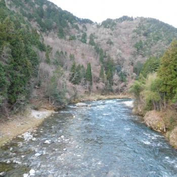 DSCN7612.JPG