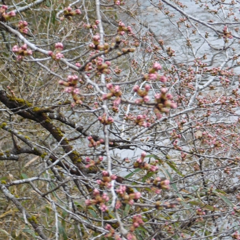 DSCN7625.JPG