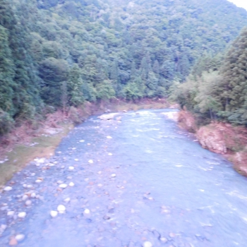 DSCN7638.JPG