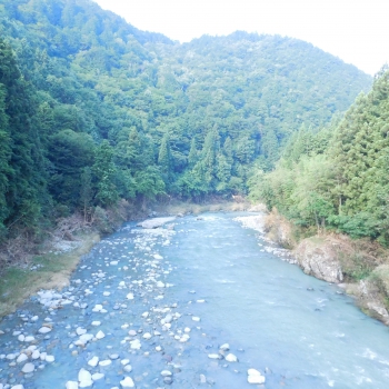 DSCN7646.JPG