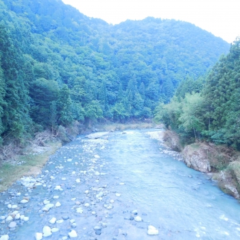 DSCN7650.JPG