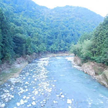 DSCN7654.JPG