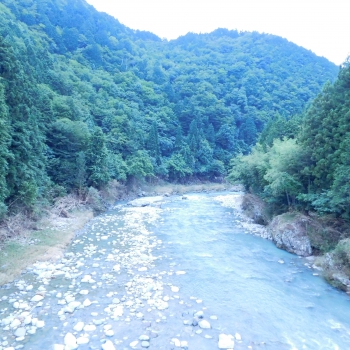 DSCN7658.JPG