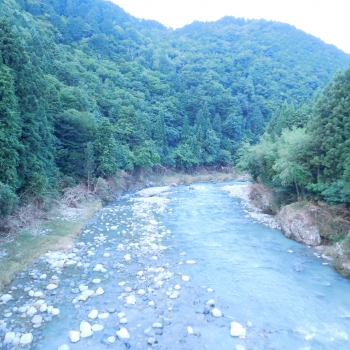 DSCN7667.JPG
