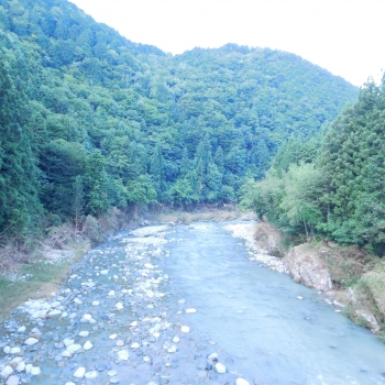 DSCN7675.JPG