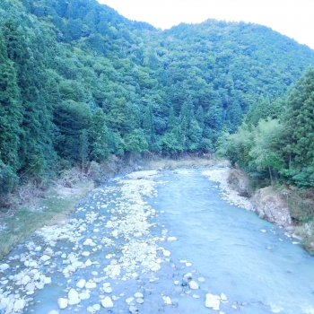 DSCN7703.JPG