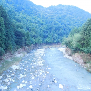 DSCN7716.JPG