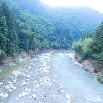 DSCN7724.JPG