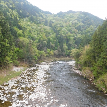 DSCN7764.JPG