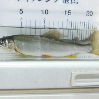 DSCN7768.JPG
