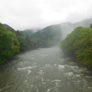 DSCN7783.JPG