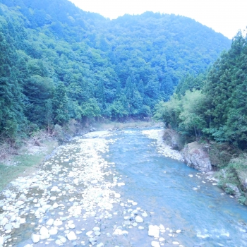 DSCN7784.JPG