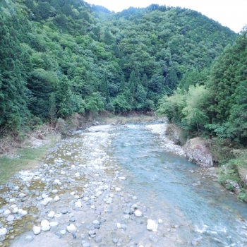 DSCN7788.JPG