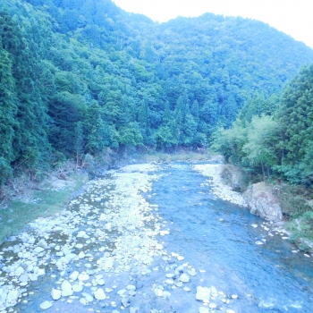 DSCN7792.JPG