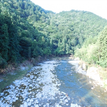 DSCN7796.JPG