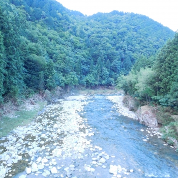 DSCN7801.JPG