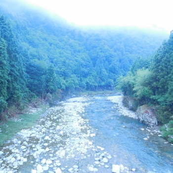 DSCN7805.JPG