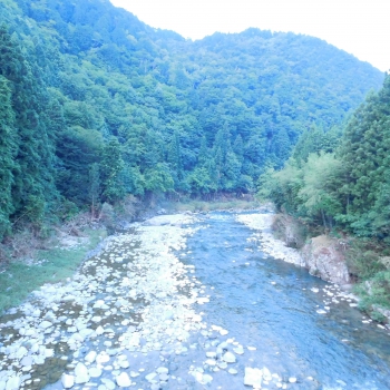 DSCN7809.JPG