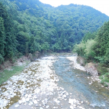 DSCN7834.JPG
