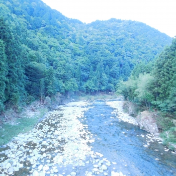 DSCN7838.JPG