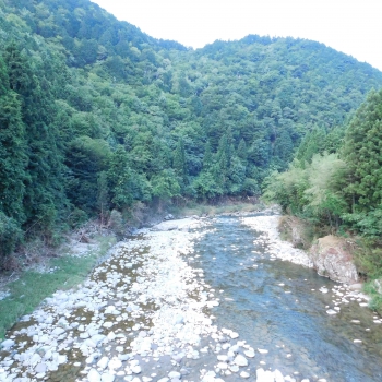 DSCN7842.JPG