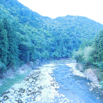 DSCN7846.JPG