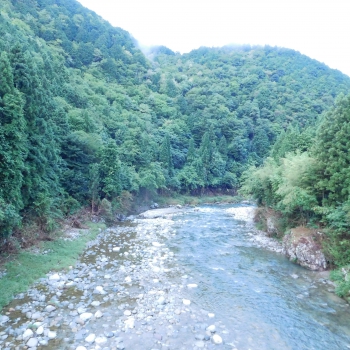 DSCN7867.JPG