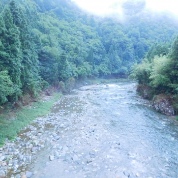 DSCN7886.JPG