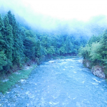DSCN7890.JPG