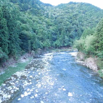 DSCN7894.JPG