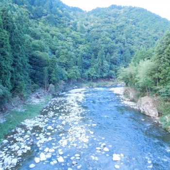DSCN7898.JPG