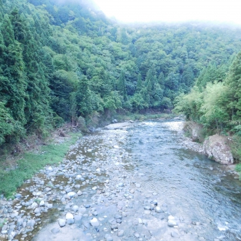 DSCN7947.JPG