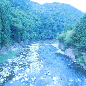 DSCN7976.JPG