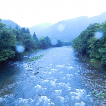 DSCN7983.JPG
